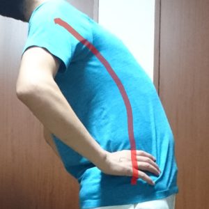 背骨の伸展運動